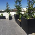 cube planter boxes syndey