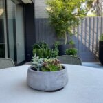 Romano Low bowl plant pot