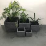 Metro Cube Grey Wash plant boxs
