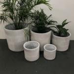 Metro Cylidner White Wash pot plants