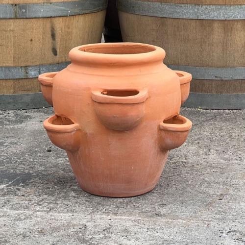 Large Terracotta Pots Sydney Large Pots Wentworth Falls Pots