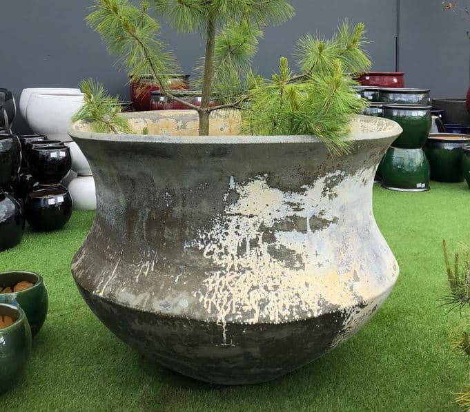 Cauldron Wentworth Falls Pots